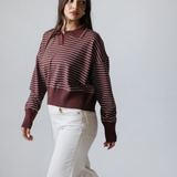 Striped Collar Knit Sweater- Brown